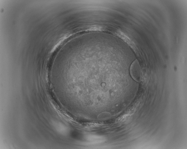 X0000065240347200602171430