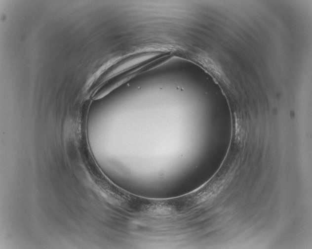 X0000065240348200602171430