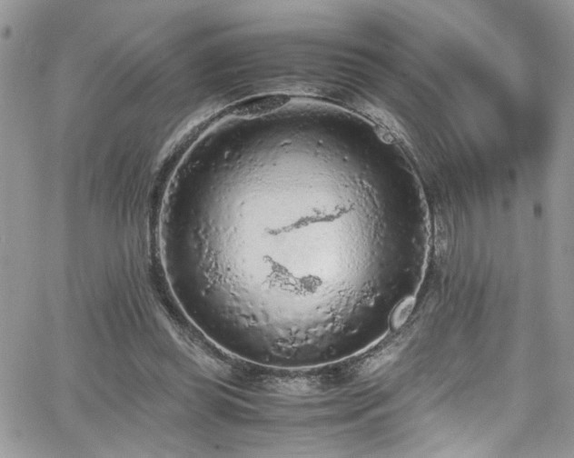 X0000065240349200602171430