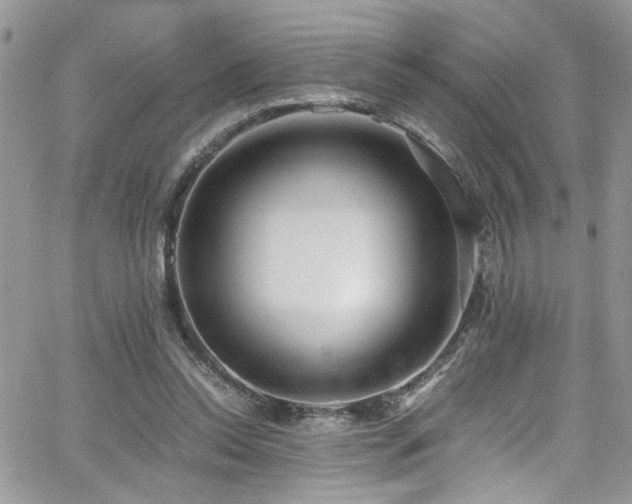 X0000065240350200602171430