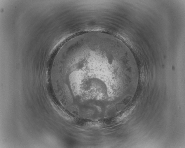 X0000065240351200602171430