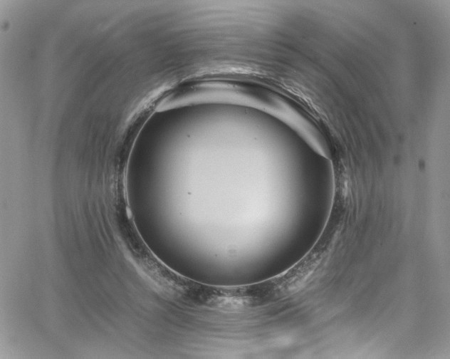 X0000065240352200602171430