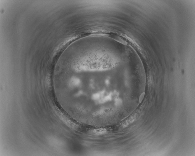 X0000065240353200602171430