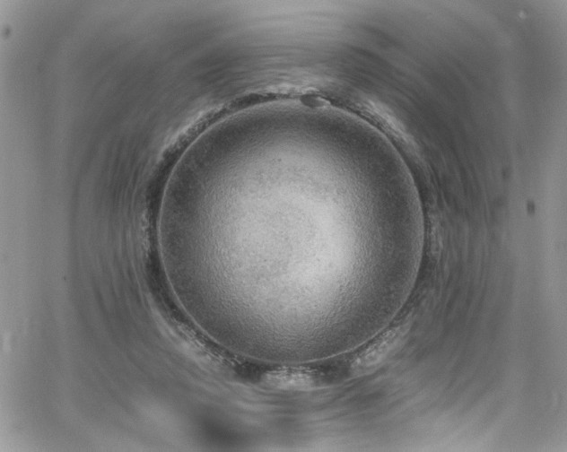 X0000065240354200602171430