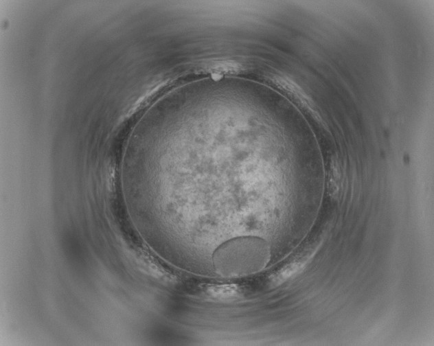 X0000065240355200602171430