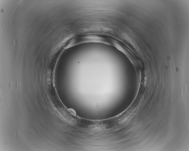 X0000065240356200602171430