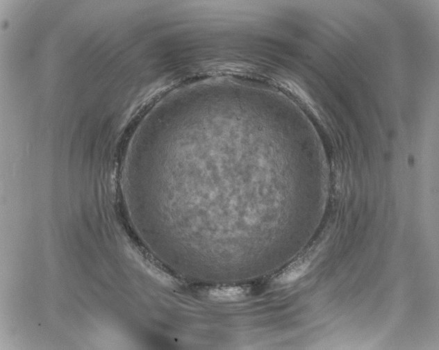 X0000065240357200602171430