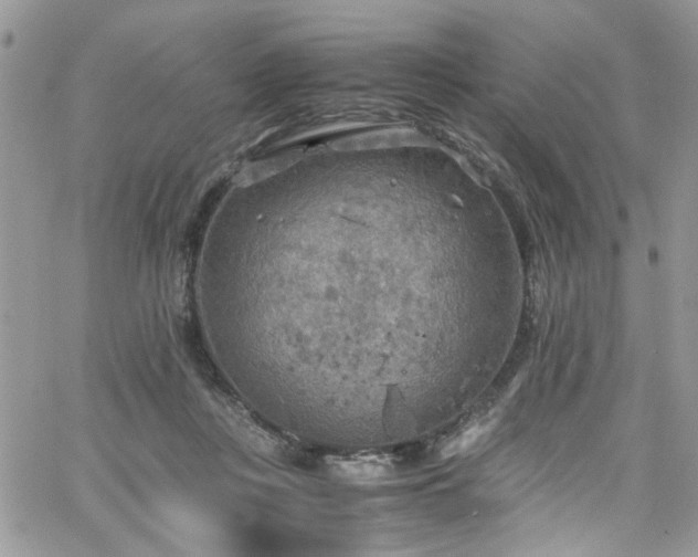 X0000065240359200602171430