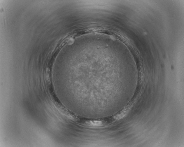 X0000065240361200602171430