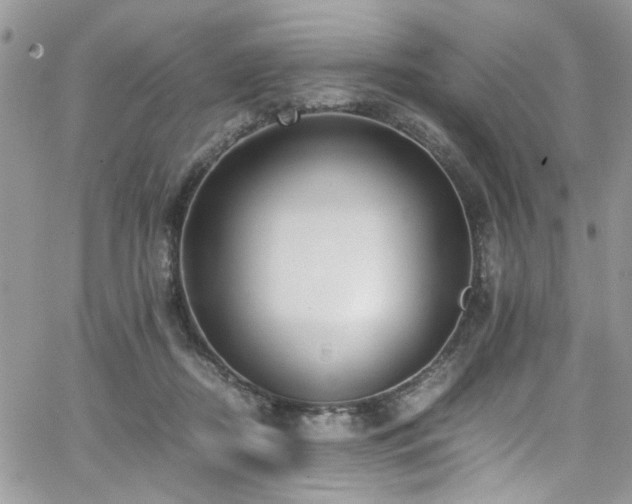 X0000065240362200602171430