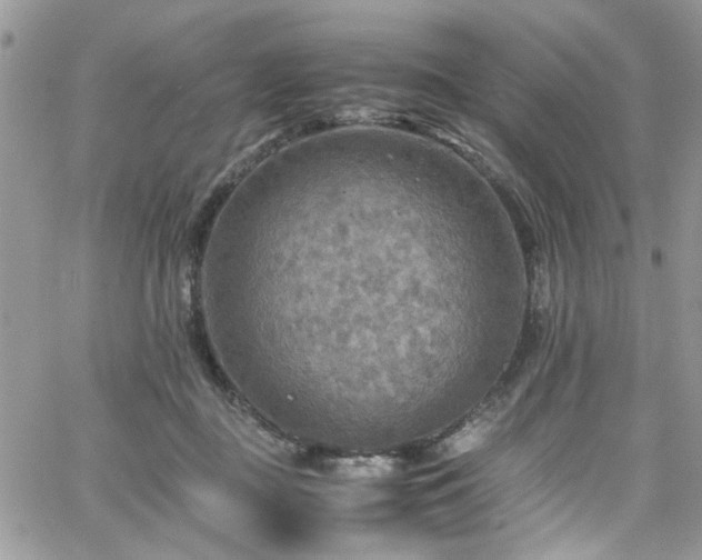 X0000065240363200602171430