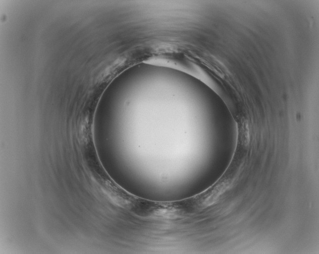 X0000065240364200602171430