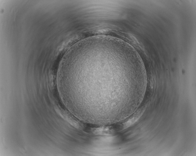 X0000065240366200602171430