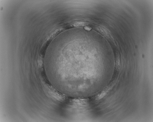 X0000065240367200602171430