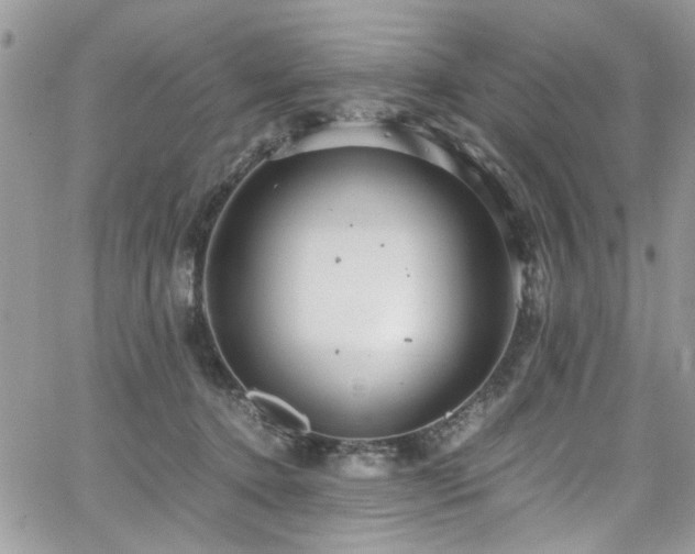 X0000065240368200602171430