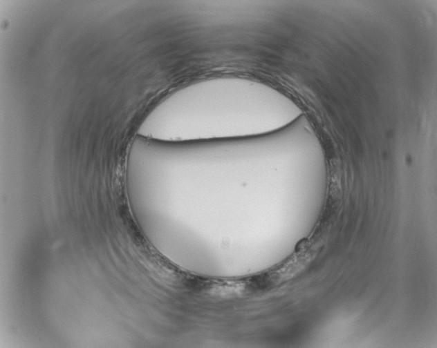 X0000065240369200602171430