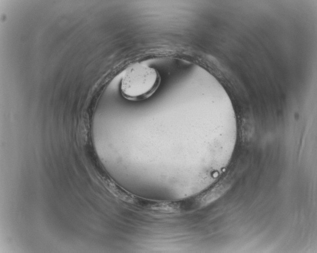 X0000065240370200602171430