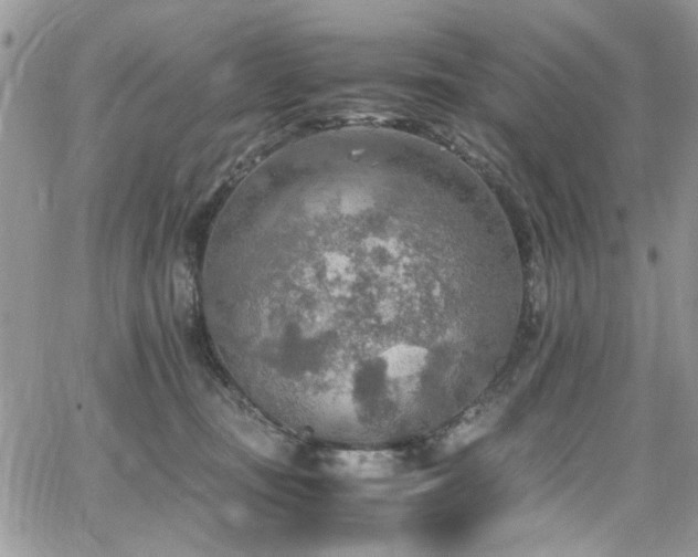 X0000065240371200602171430