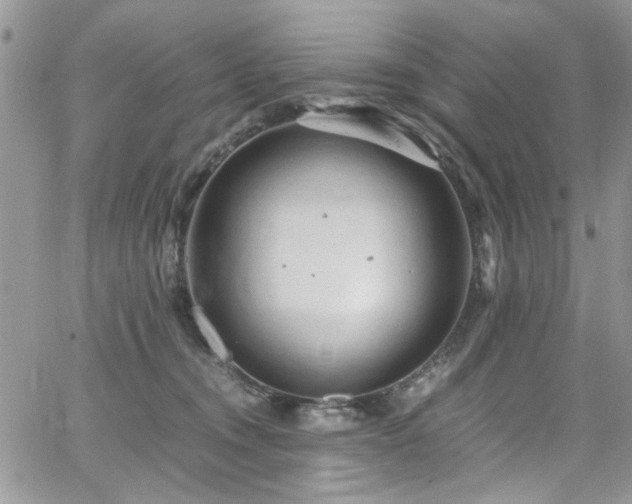 X0000065240372200602171430