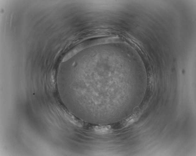 X0000065240373200602171430