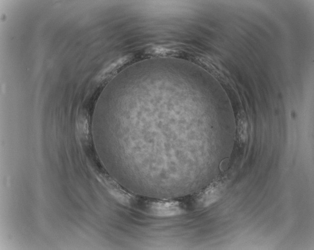 X0000065240375200602171430