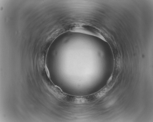 X0000065240376200602171430