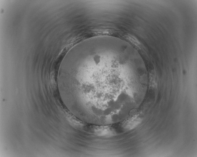 X0000065240377200602171430