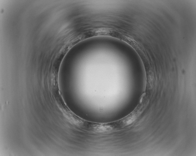 X0000065240379200602171430