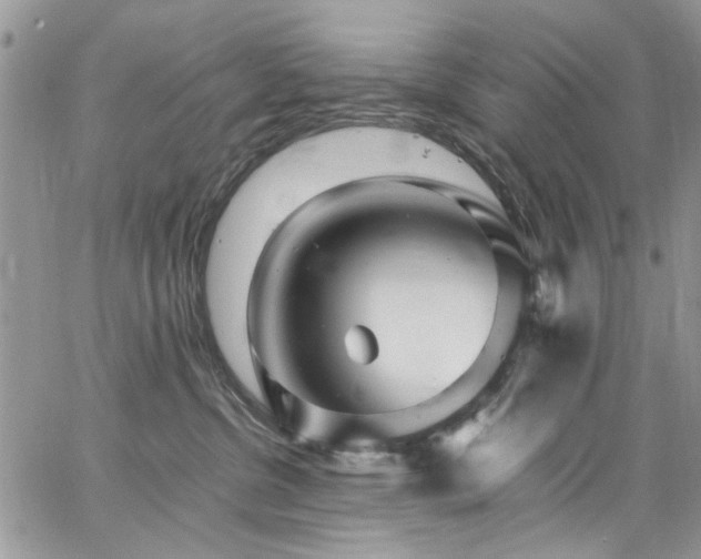 X0000065240380200602171430