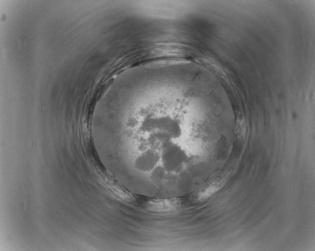 X0000065240381200602171430