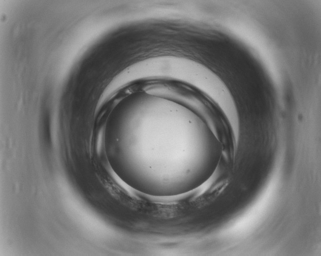 X0000065240382200602171430