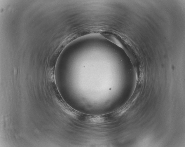 X0000065240383200602171430