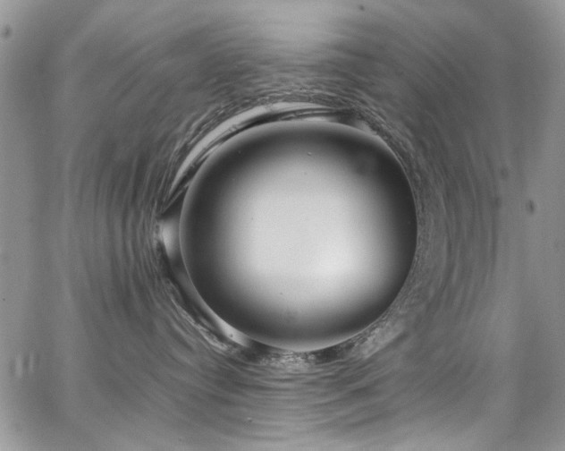 X0000065240384200602171430