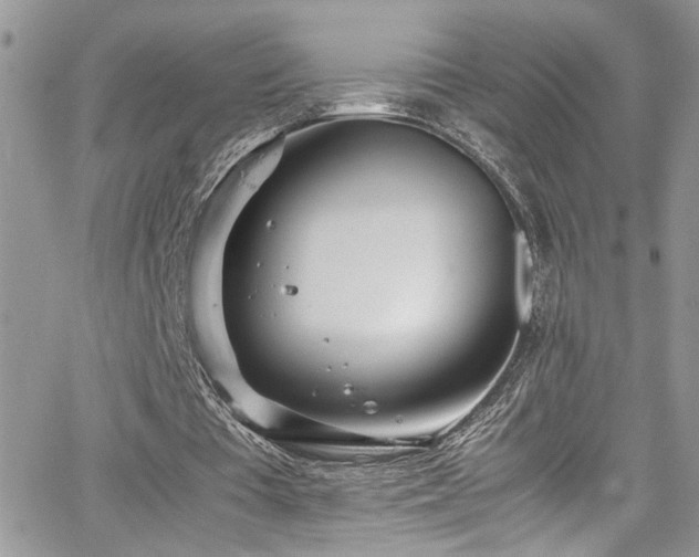 X0000065240385200602171429