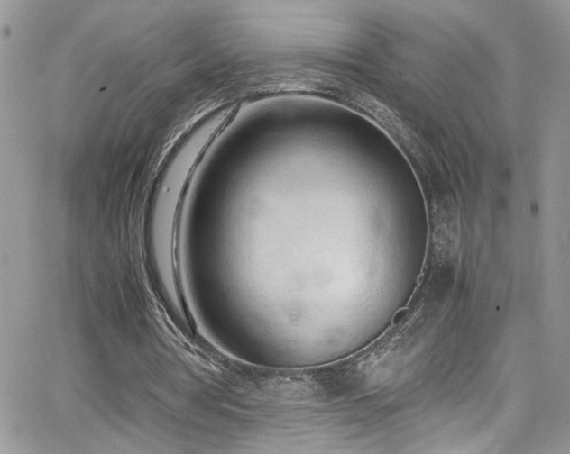 X0000065240386200602171429