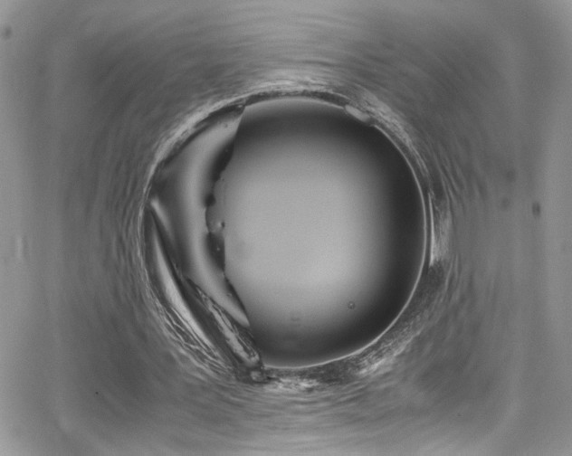 X0000065240387200602171429