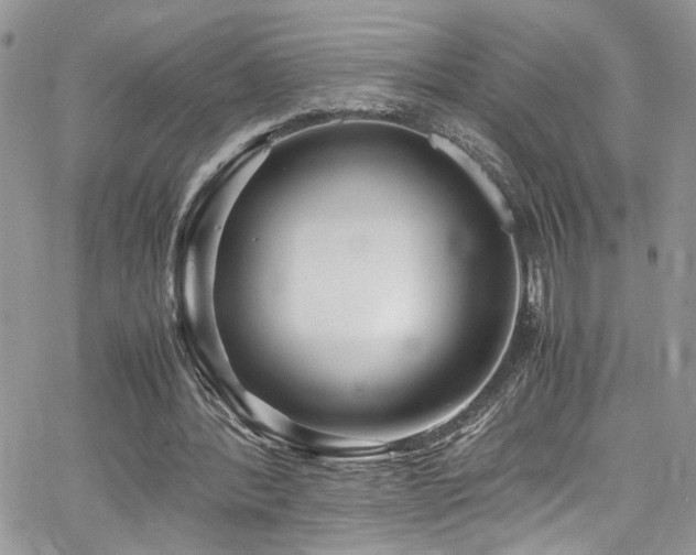 X0000065240388200602171429