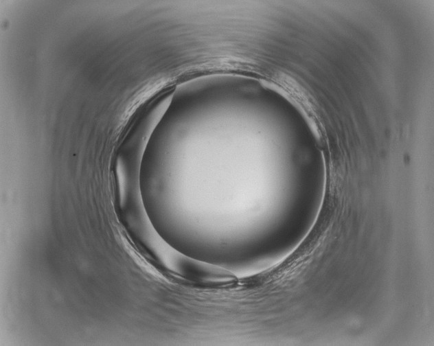 X0000065240389200602171429