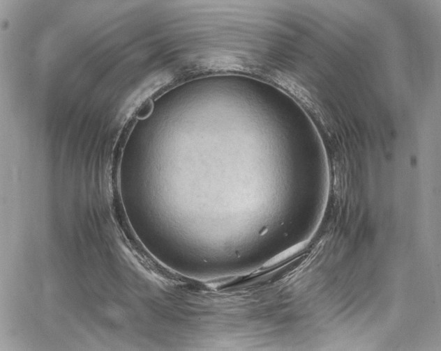 X0000065240390200602171429