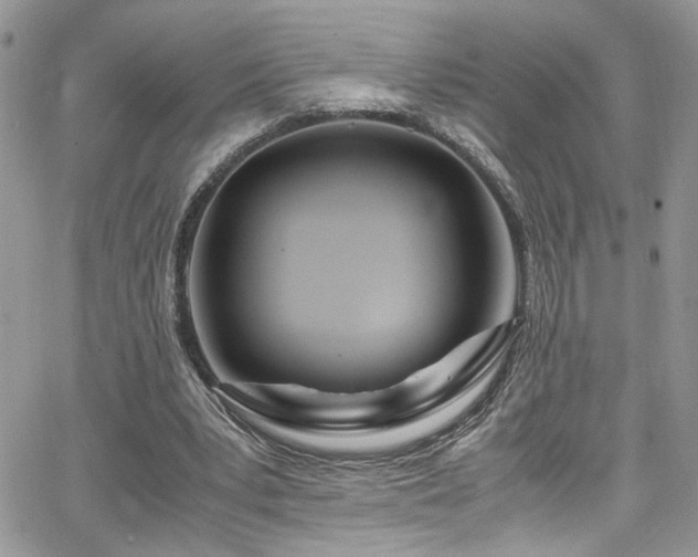 X0000065240391200602171429