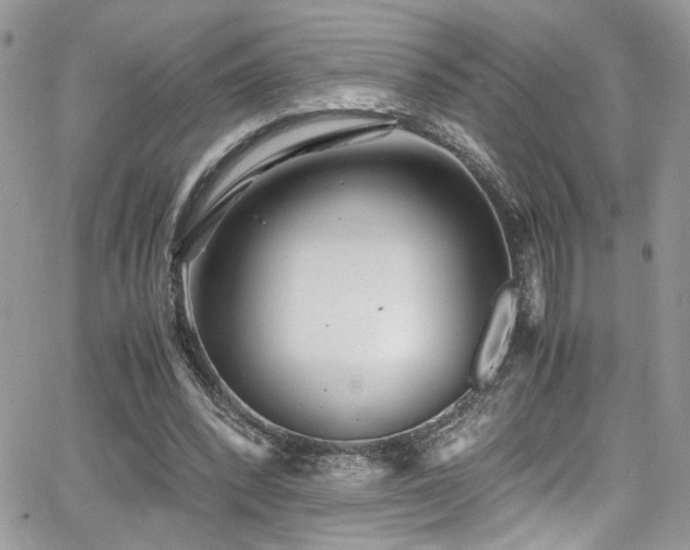 X0000065240392200602171429