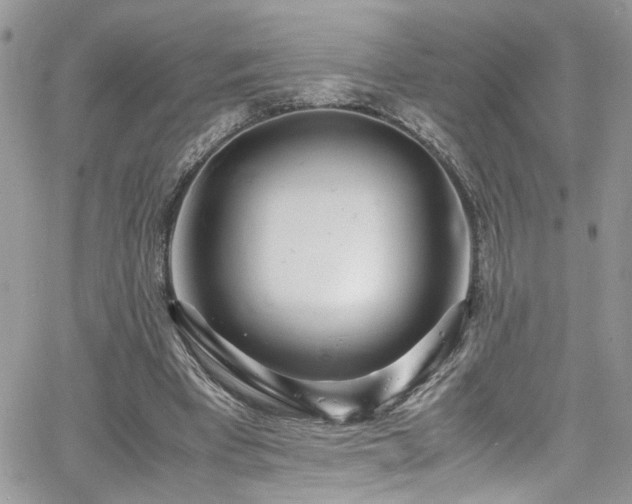 X0000065240393200602171429