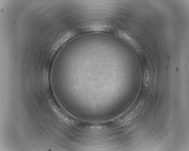 X0000065240394200602171429