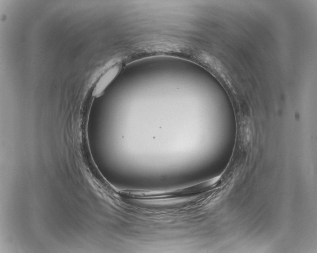 X0000065240395200602171429