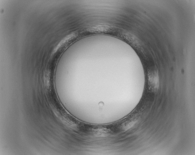 X0000065240396200602171429