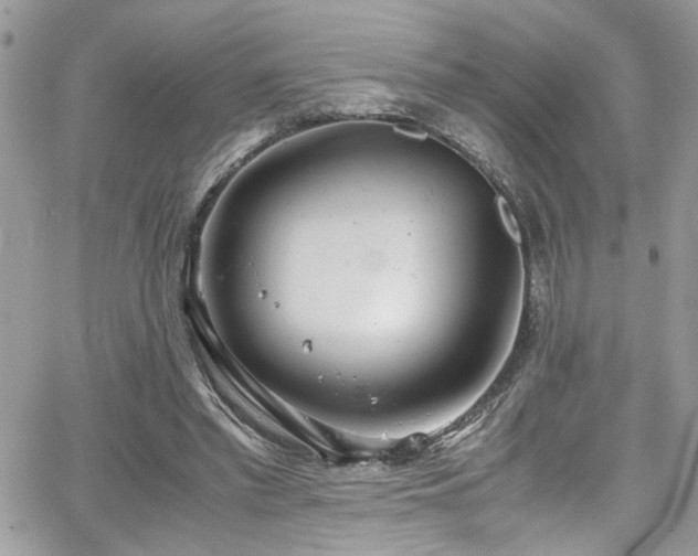 X0000065240397200602171429