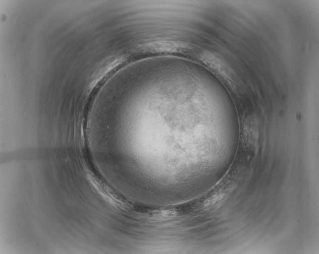 X0000065240398200602171429