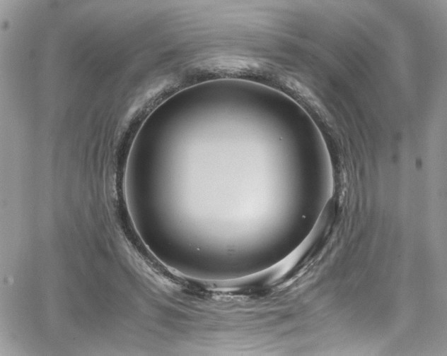 X0000065240399200602171429