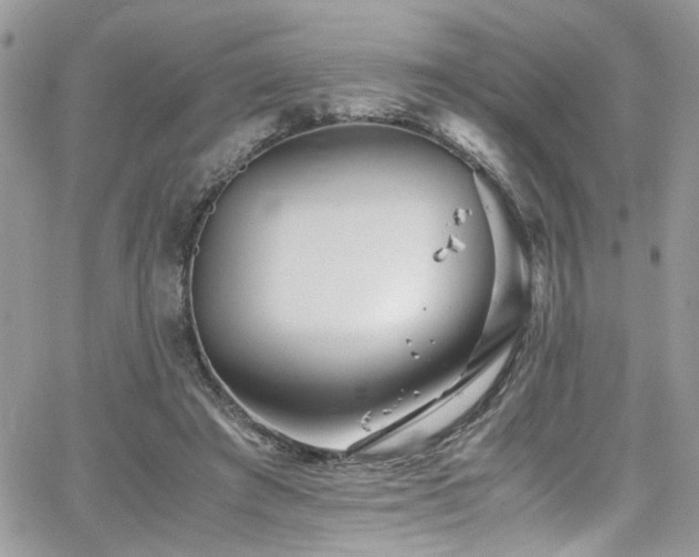 X0000065240401200602171429