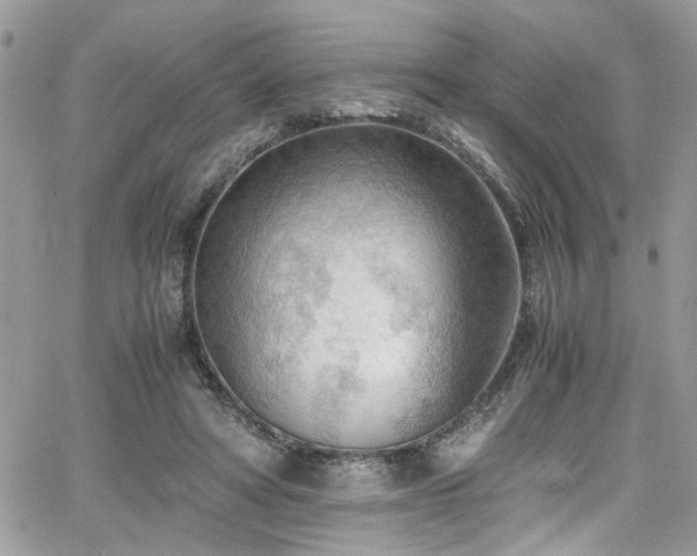 X0000065240402200602171429